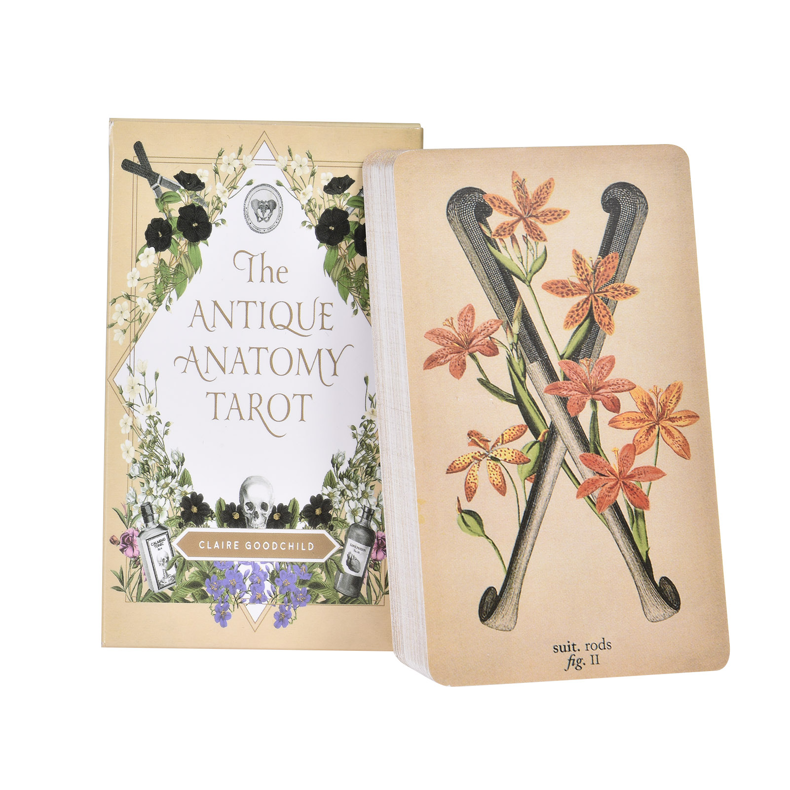 Tarot Cards Deck With Guidebook - Karty Tarota „Antyczna Anatomia” – wersja