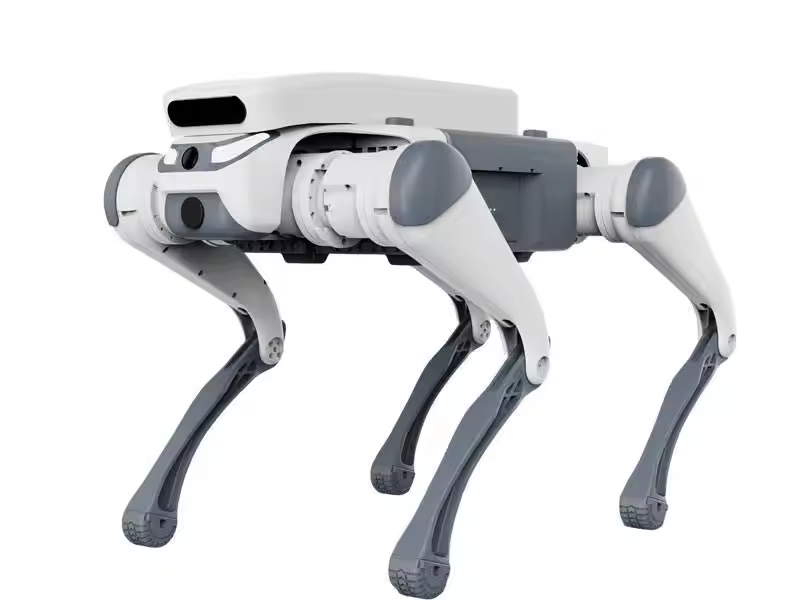 Zdalnie sterowany pies robotyc – Remote Control Toys recenzja i cena